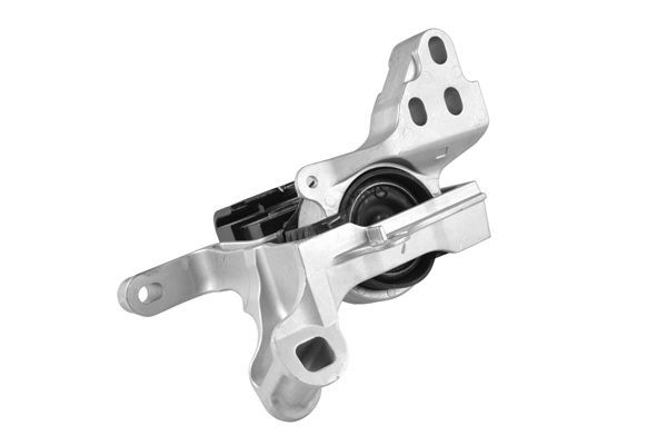 Variklio montavimas TEDGUM TED42365