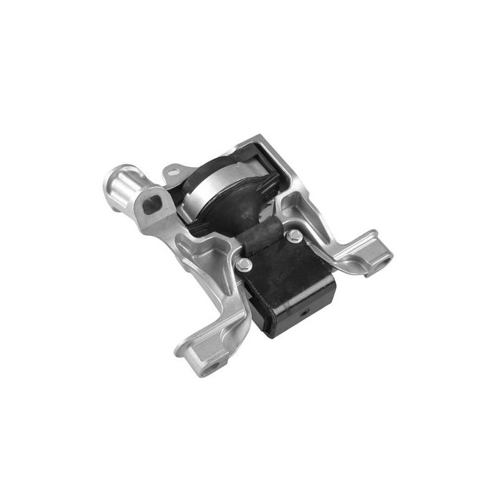 Variklio montavimas TEDGUM TED42365