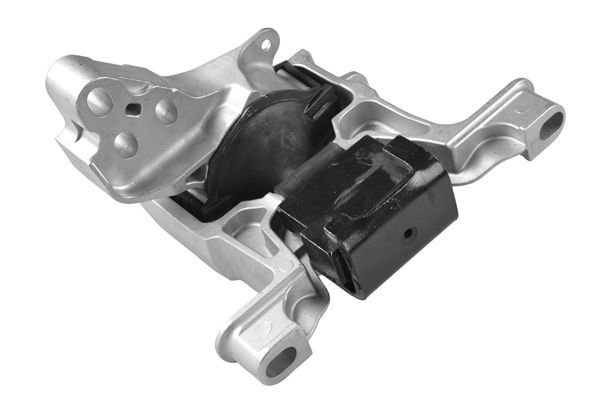 Variklio montavimas TEDGUM TED42365