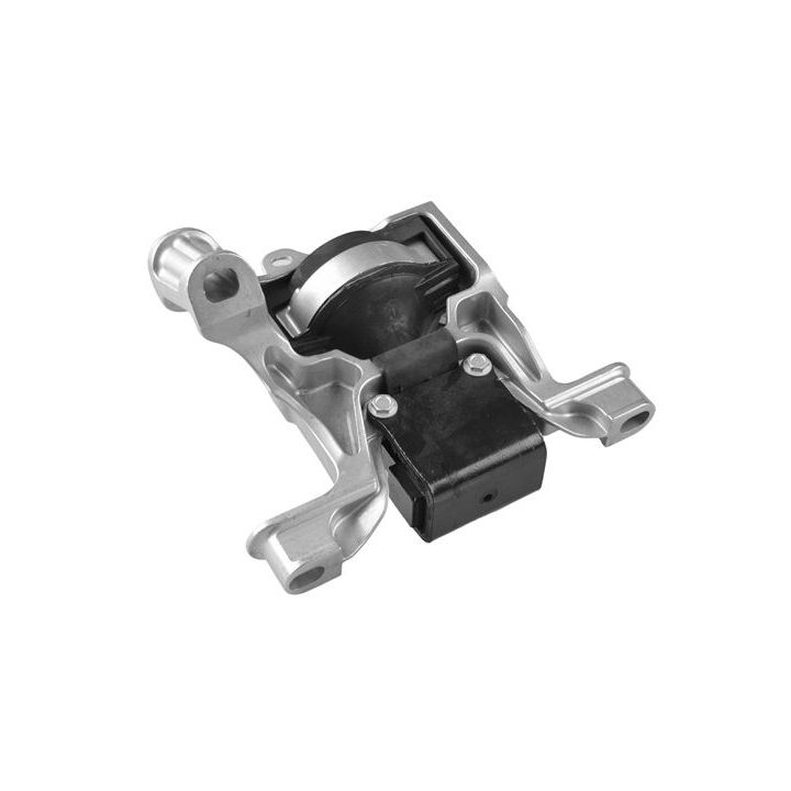 Variklio montavimas TEDGUM TED42365