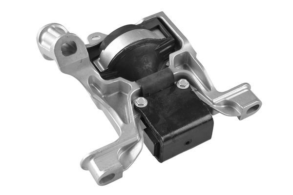 Variklio montavimas TEDGUM TED42365