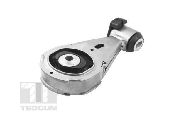 Variklio montavimas TEDGUM TED43690