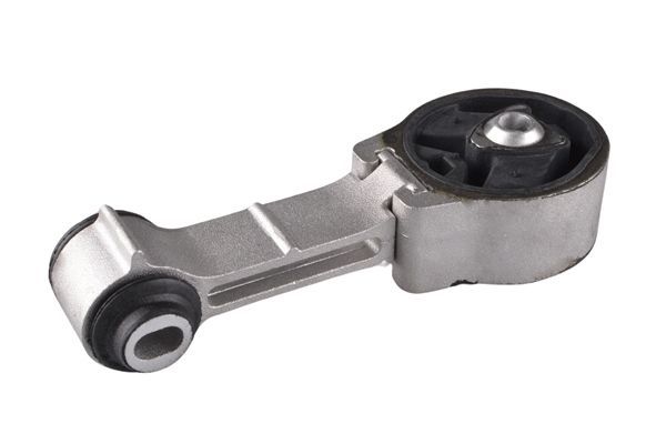 Variklio montavimas TEDGUM TED44246