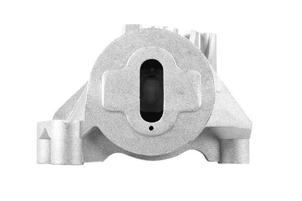 Variklio montavimas TEDGUM TED46865