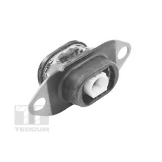 Variklio montavimas TEDGUM TED46913