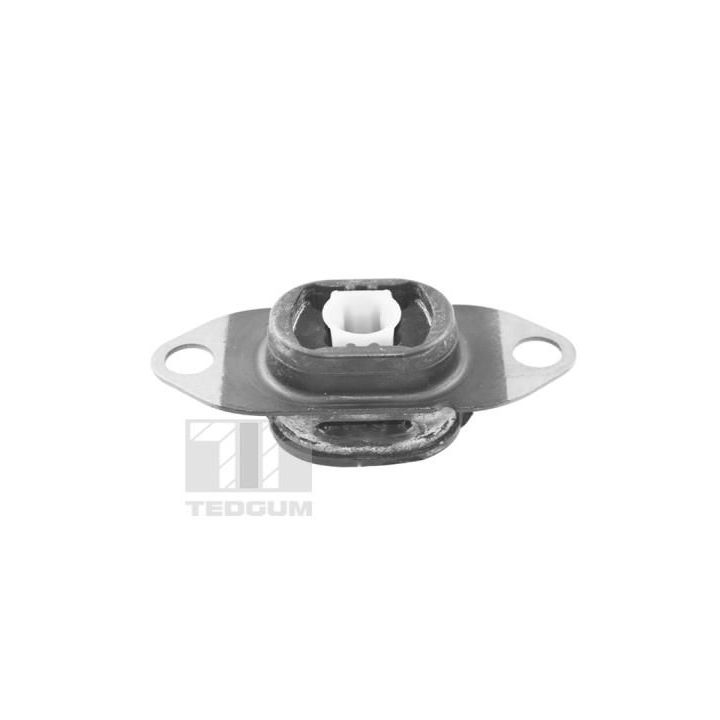 Variklio montavimas TEDGUM TED46913