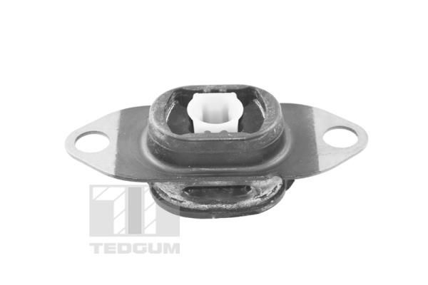 Variklio montavimas TEDGUM TED46913