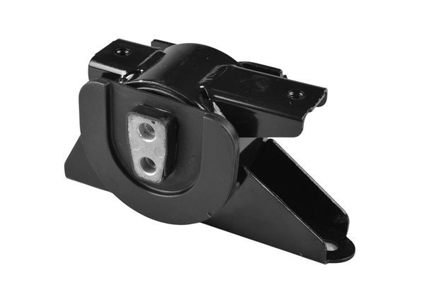 Variklio montavimas TEDGUM TED48005