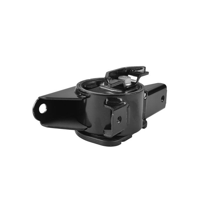 Variklio montavimas TEDGUM TED48005