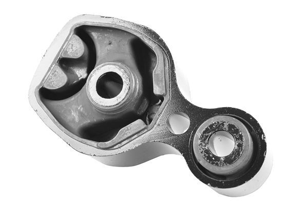 Variklio montavimas TEDGUM TED49039