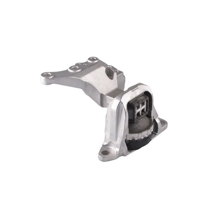 Variklio montavimas TEDGUM TED49780