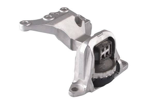 Variklio montavimas TEDGUM TED49780