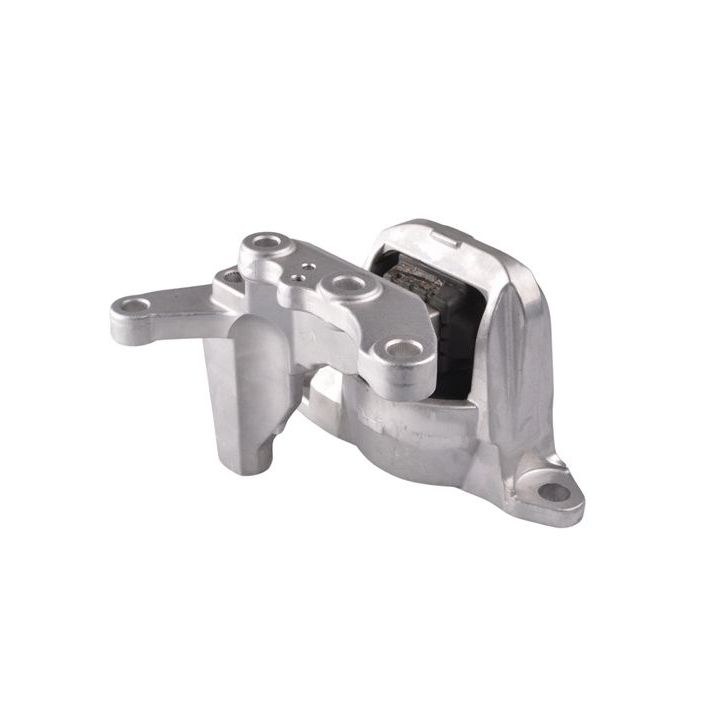 Variklio montavimas TEDGUM TED49780