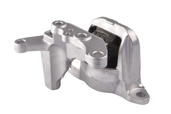 Variklio montavimas TEDGUM TED49780