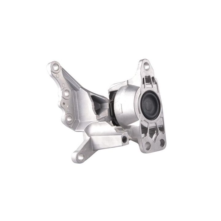 Variklio montavimas TEDGUM TED49780