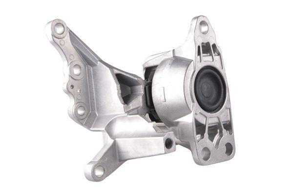 Variklio montavimas TEDGUM TED49780