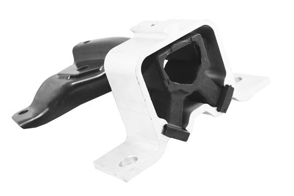 Variklio montavimas TEDGUM TED49851