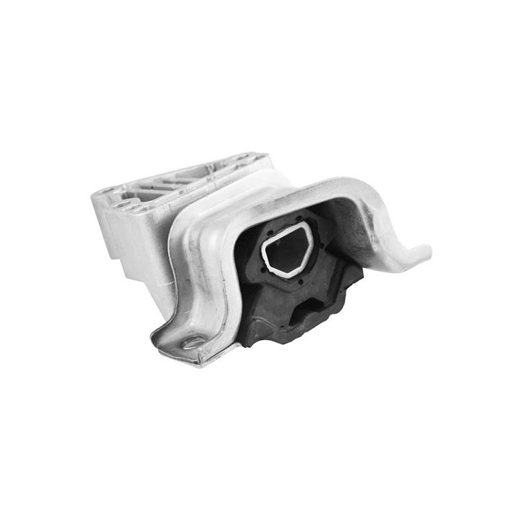 Variklio montavimas TEDGUM TED50530