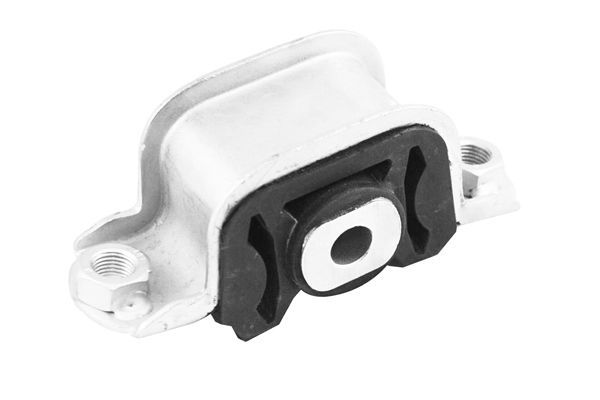 Variklio montavimas TEDGUM TED50637