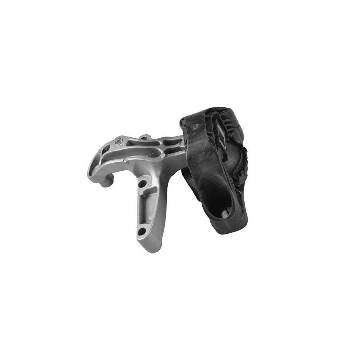 Variklio montavimas TEDGUM TED50849