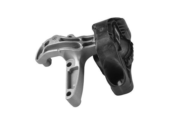 Variklio montavimas TEDGUM TED50849