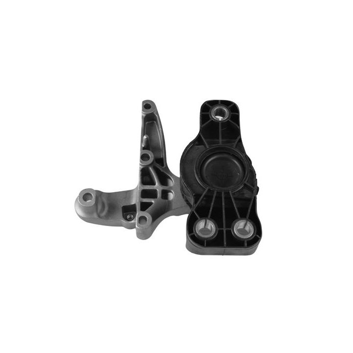 Variklio montavimas TEDGUM TED50849