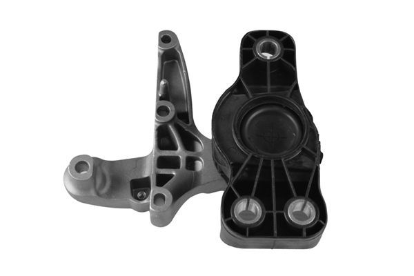 Variklio montavimas TEDGUM TED50849