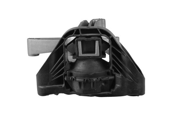 Variklio montavimas TEDGUM TED50849