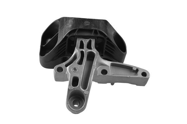 Variklio montavimas TEDGUM TED50849