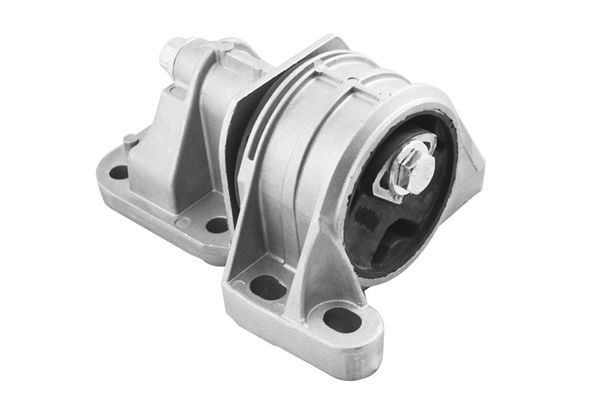 Variklio montavimas TEDGUM TED51099