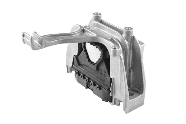 Variklio montavimas TEDGUM TED51460