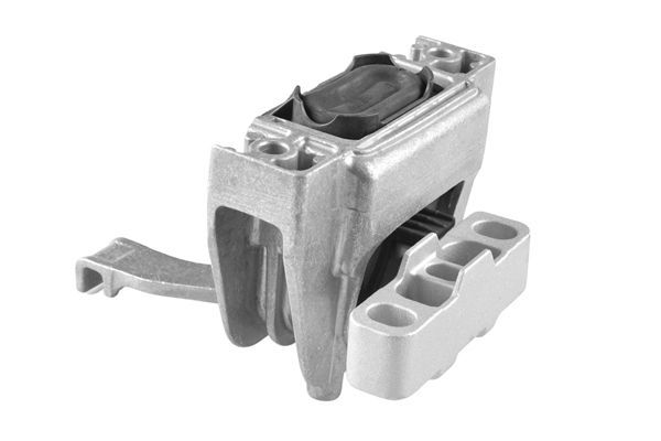 Variklio montavimas TEDGUM TED51460