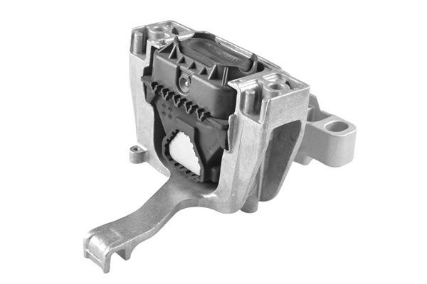 Variklio montavimas TEDGUM TED51460