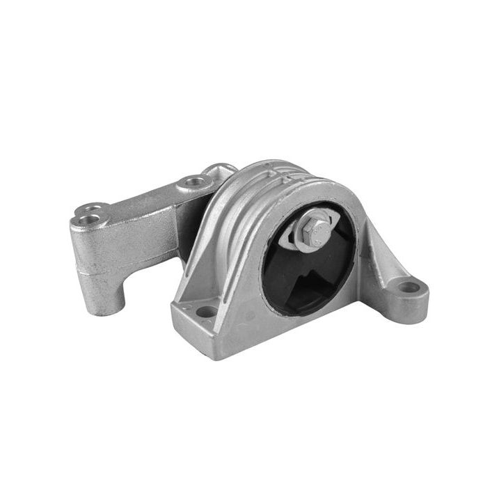 Variklio montavimas TEDGUM TED52003