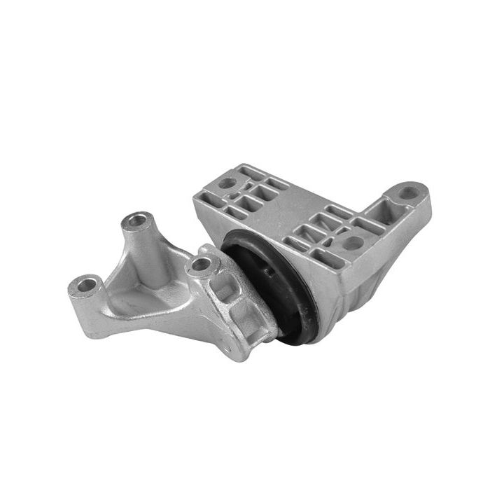 Variklio montavimas TEDGUM TED52003