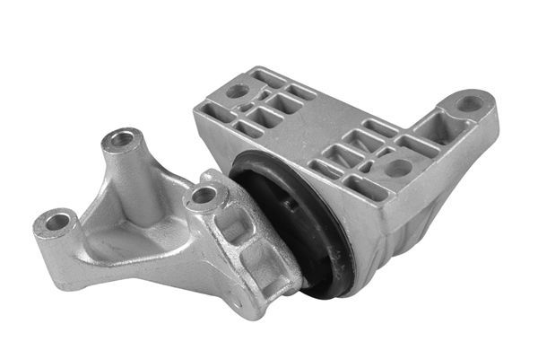 Variklio montavimas TEDGUM TED52003