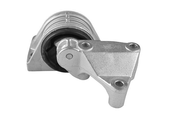 Variklio montavimas TEDGUM TED52003