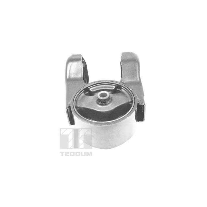 Variklio montavimas TEDGUM TED52771