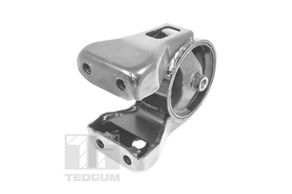 Variklio montavimas TEDGUM TED52771