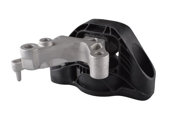 Variklio montavimas TEDGUM TED52841