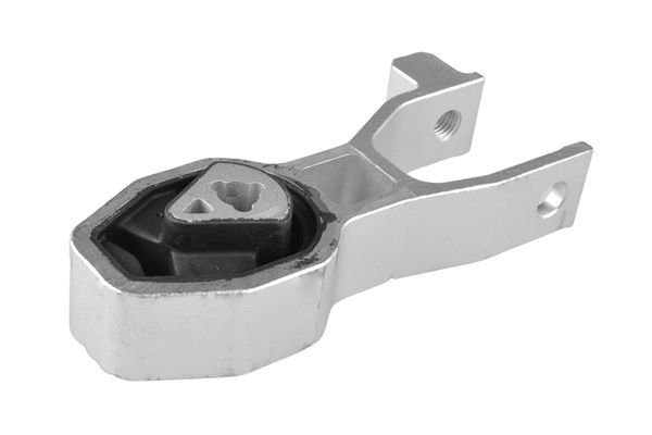 Variklio montavimas TEDGUM TED53432