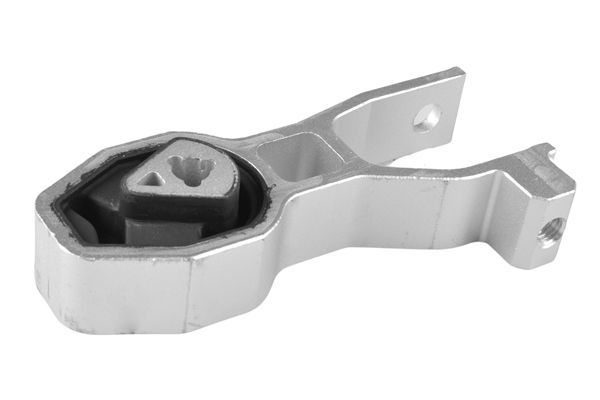 Variklio montavimas TEDGUM TED53432