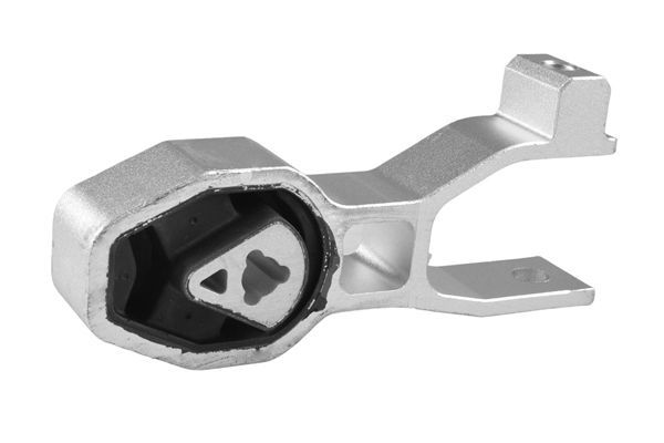 Variklio montavimas TEDGUM TED53432