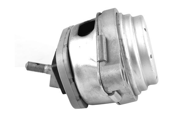 Variklio montavimas TEDGUM TED53740