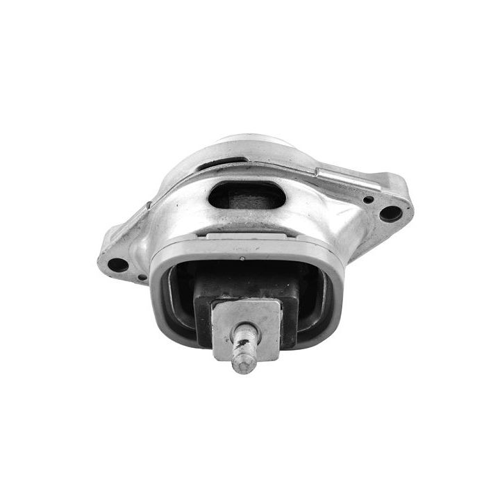 Variklio montavimas TEDGUM TED53740