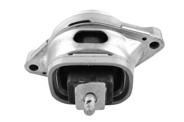 Variklio montavimas TEDGUM TED53740