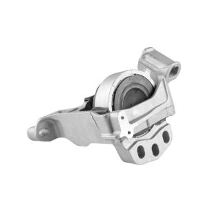 Variklio montavimas TEDGUM TED54109