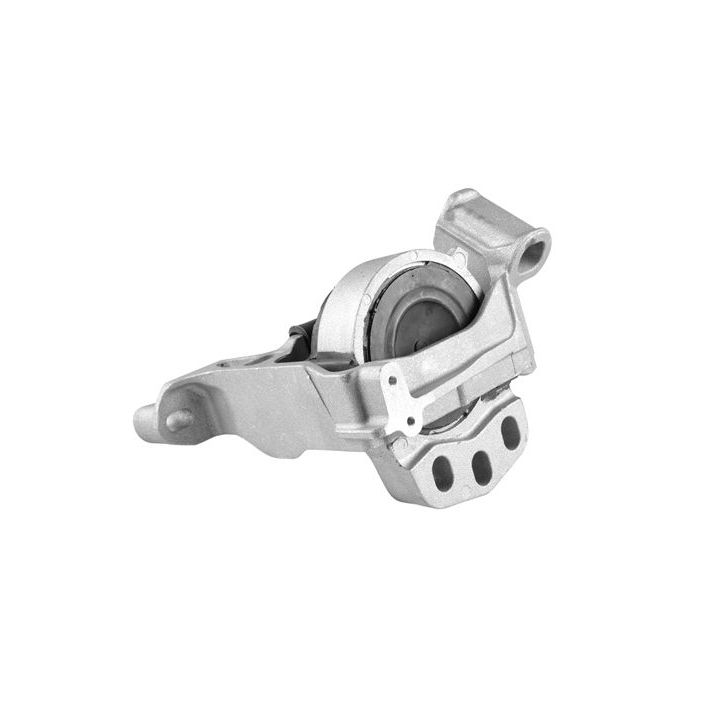 Variklio montavimas TEDGUM TED54109