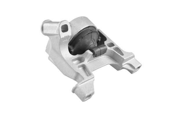 Variklio montavimas TEDGUM TED54109