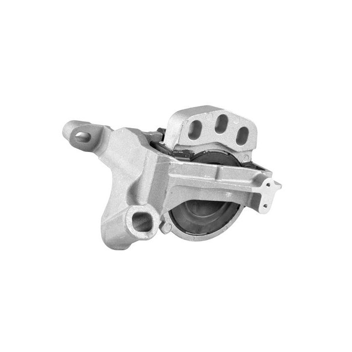 Variklio montavimas TEDGUM TED54109